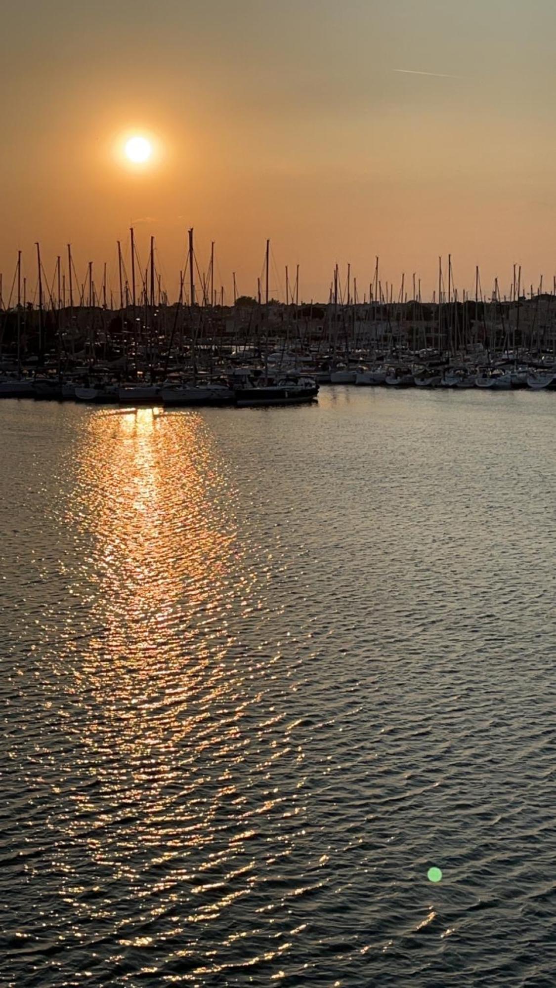 Studio Prestige Avec Terrasse, Ile Des Pecheurs, Vue Port Agde Eksteriør billede
