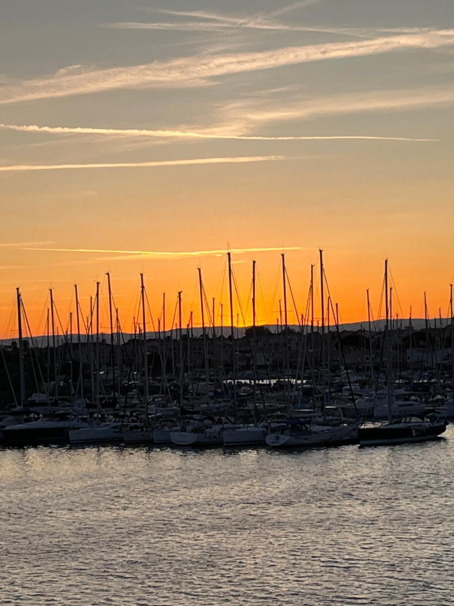 Studio Prestige Avec Terrasse, Ile Des Pecheurs, Vue Port Agde Eksteriør billede
